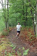 IMG_4017.jpg