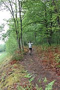IMG_4019.jpg