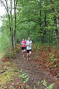 IMG_4028.jpg