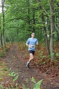 IMG_4031.jpg
