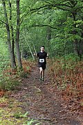 IMG_4032.jpg