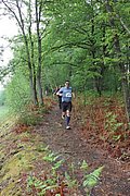 IMG_4039.jpg