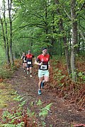 IMG_4042.jpg