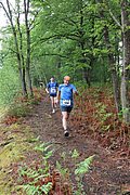 IMG_4047.jpg