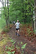 IMG_4054.jpg