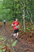 IMG_4062.jpg