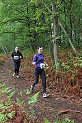 IMG_4107.jpg
