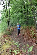 IMG_4113.jpg
