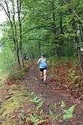 IMG_4120.jpg