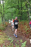 IMG_4129.jpg