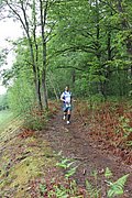 IMG_4139.jpg
