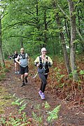 IMG_4141.jpg