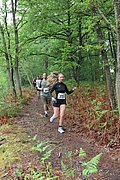 IMG_4143.jpg