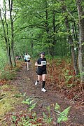 IMG_4162.jpg