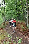 IMG_4174.jpg