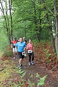 IMG_4183.jpg