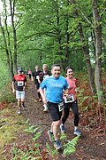 IMG_4184.jpg
