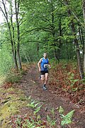 IMG_4200.jpg