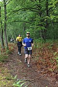 IMG_4210.jpg