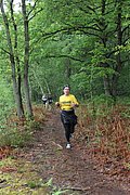 IMG_4211.jpg