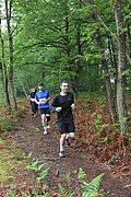IMG_4220.jpg
