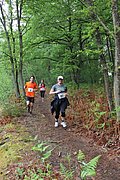 IMG_4229.jpg
