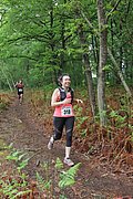 IMG_4231.jpg