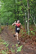 IMG_4233.jpg