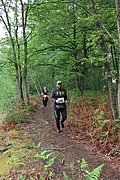 IMG_4236.jpg