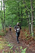 IMG_4237.jpg