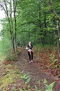 IMG_4238.jpg