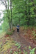 IMG_4244.jpg