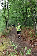 IMG_4247.jpg