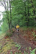 IMG_4260.jpg