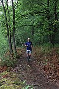 IMG_4266.jpg