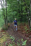 IMG_4267.jpg