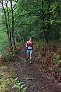 IMG_4271.jpg