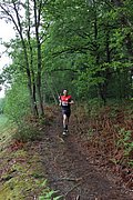 IMG_4276.jpg