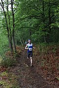 IMG_4287.jpg