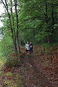 IMG_4289.jpg