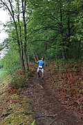 IMG_4297.jpg