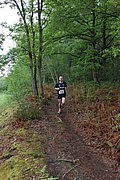 IMG_4321.jpg