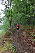 IMG_4324.jpg