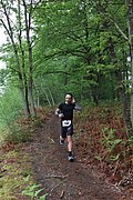 IMG_4333.jpg