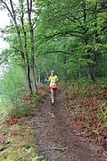 IMG_4335.jpg
