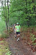 IMG_4337.jpg