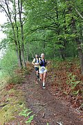 IMG_4345.jpg