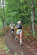 IMG_4346.jpg