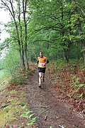 IMG_4361.jpg