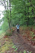 IMG_4400.jpg